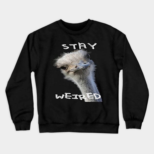 Stay Weird Strange Ostrich Bird Crewneck Sweatshirt by taiche